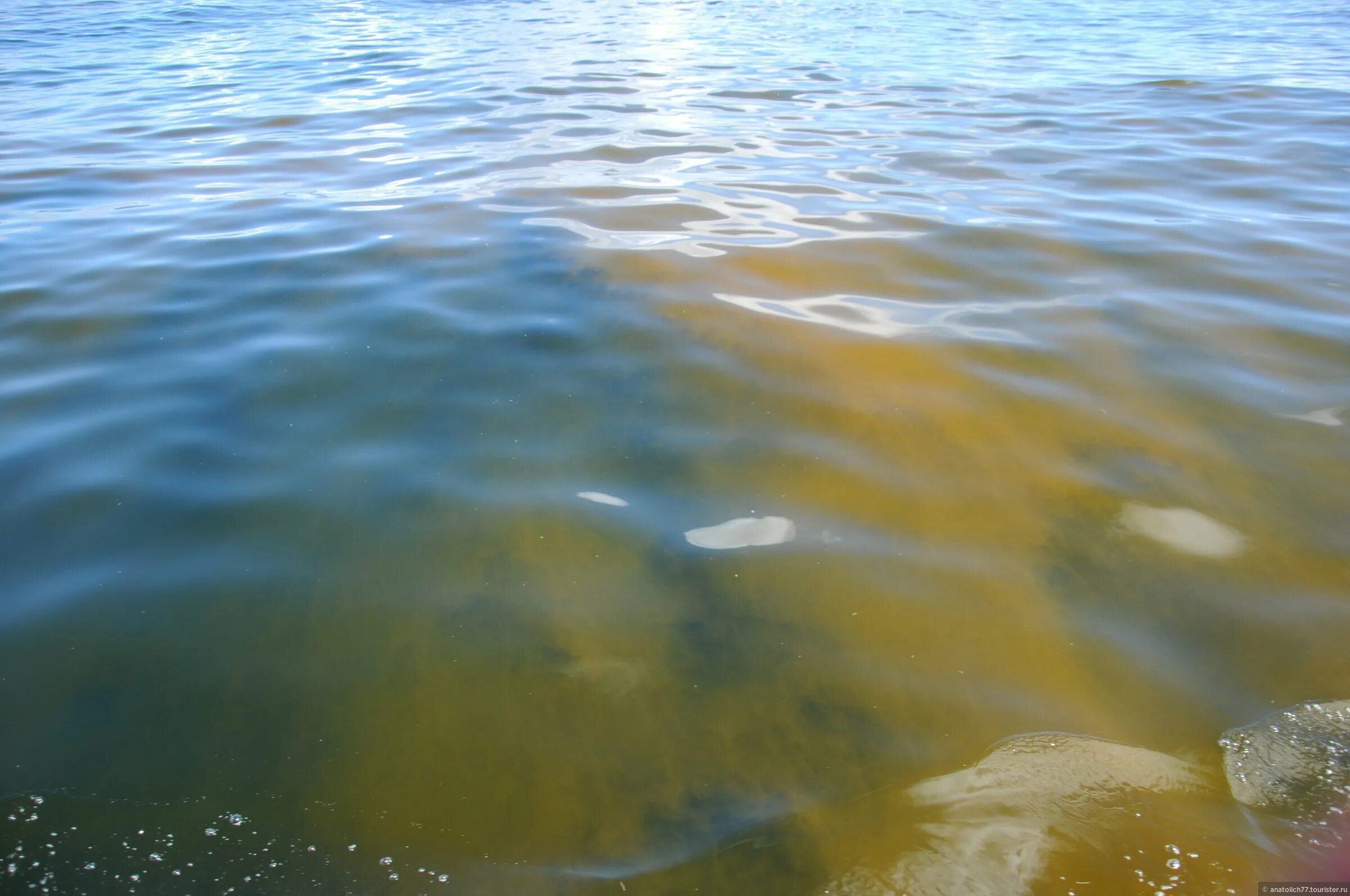 А жизнь мутная вода волна туда. Мутная вода. Мутная вода в океане. Мутная вода в море. Коричневая вода.