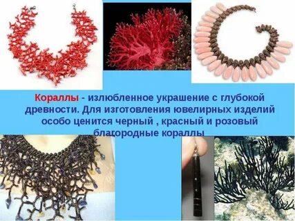 Коралловый значение