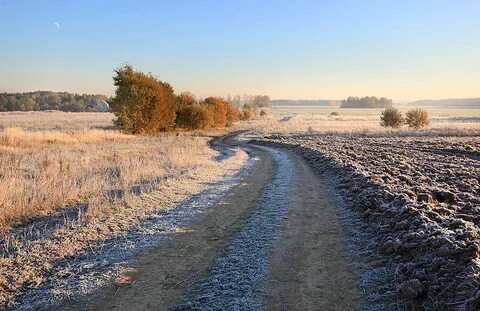Дохнул осенний хлад дорога промерзает