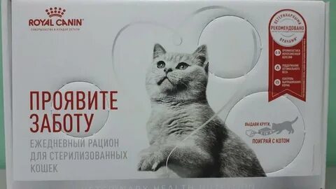 Таблетки от аллергии на кошек