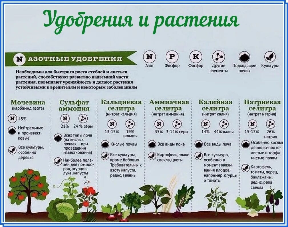 Какое практическое значение для садоводов