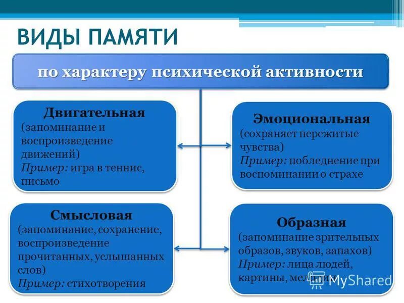 Типы психической активности. Виды памяти в психологии. Виды памяти и их особенности. Виды памяти у человека кратко. Классификация основных видов памяти.