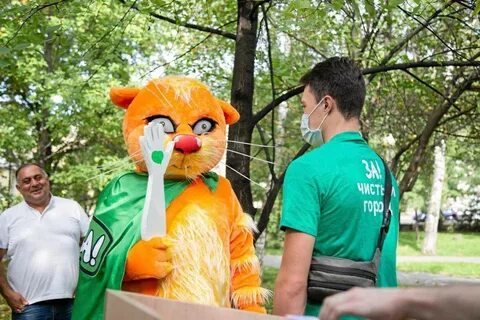 Зеленая альтернатива