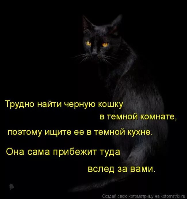 Кошка тяжело. Искать чкрную кошку в тесной комнате. Искать черную кошку в темной комнате. Черная кошка в темной комнате. Трудно найти кошку в темной комнате.
