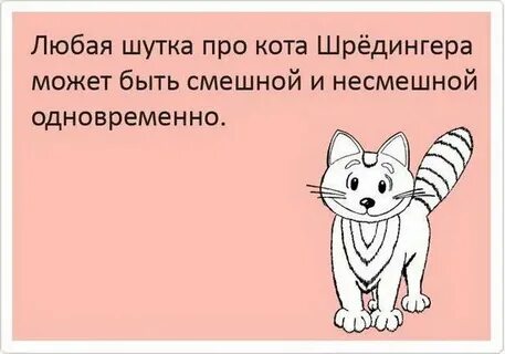 Любой прикол