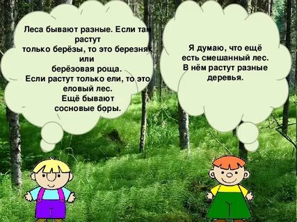 Презентация лес чудес