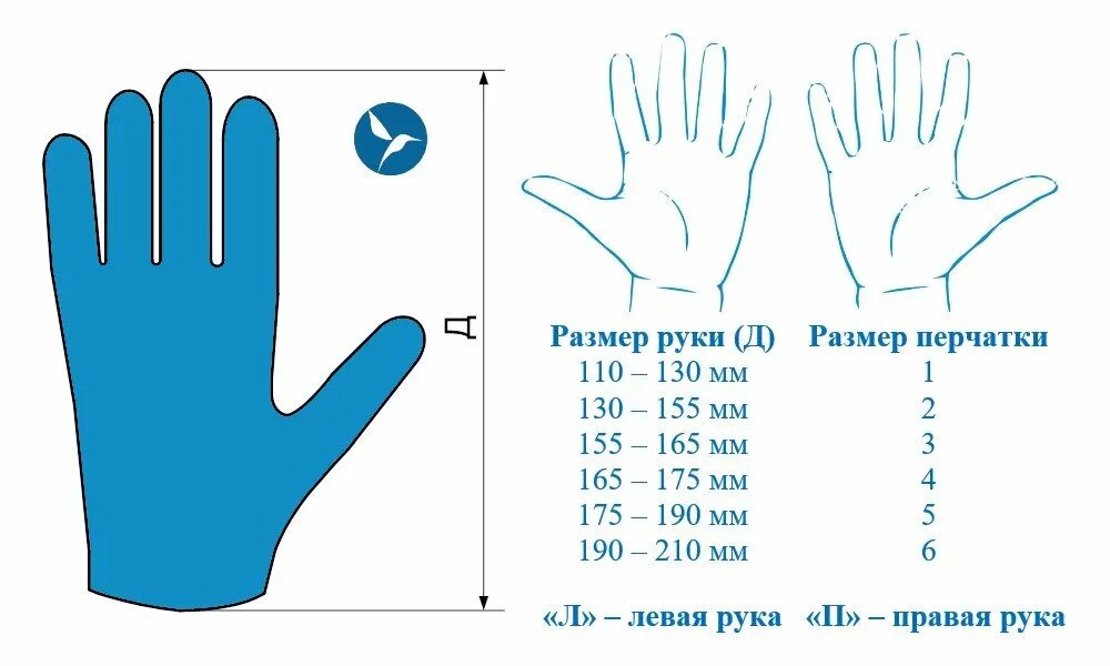 Ладонь в см. Ладонь в см
