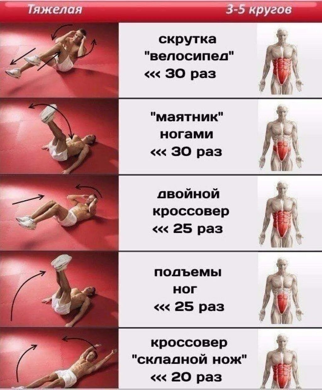 Упражнения для пресса девушке дома. Тренировка на пресс в домашних условиях. комплекс упражнений для пресса в домашних условиях. упражнения для пресса в домашних условиях для мужчин программа. упражнения наипресс для мужчин.