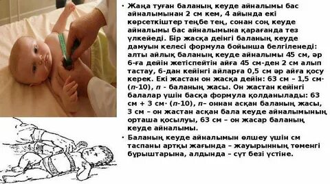 Поляк армиясының порно фильмі