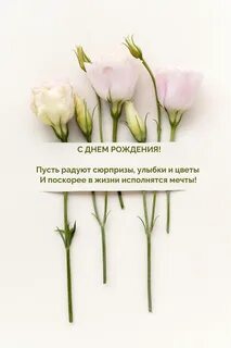 Пусть радуют улыбки