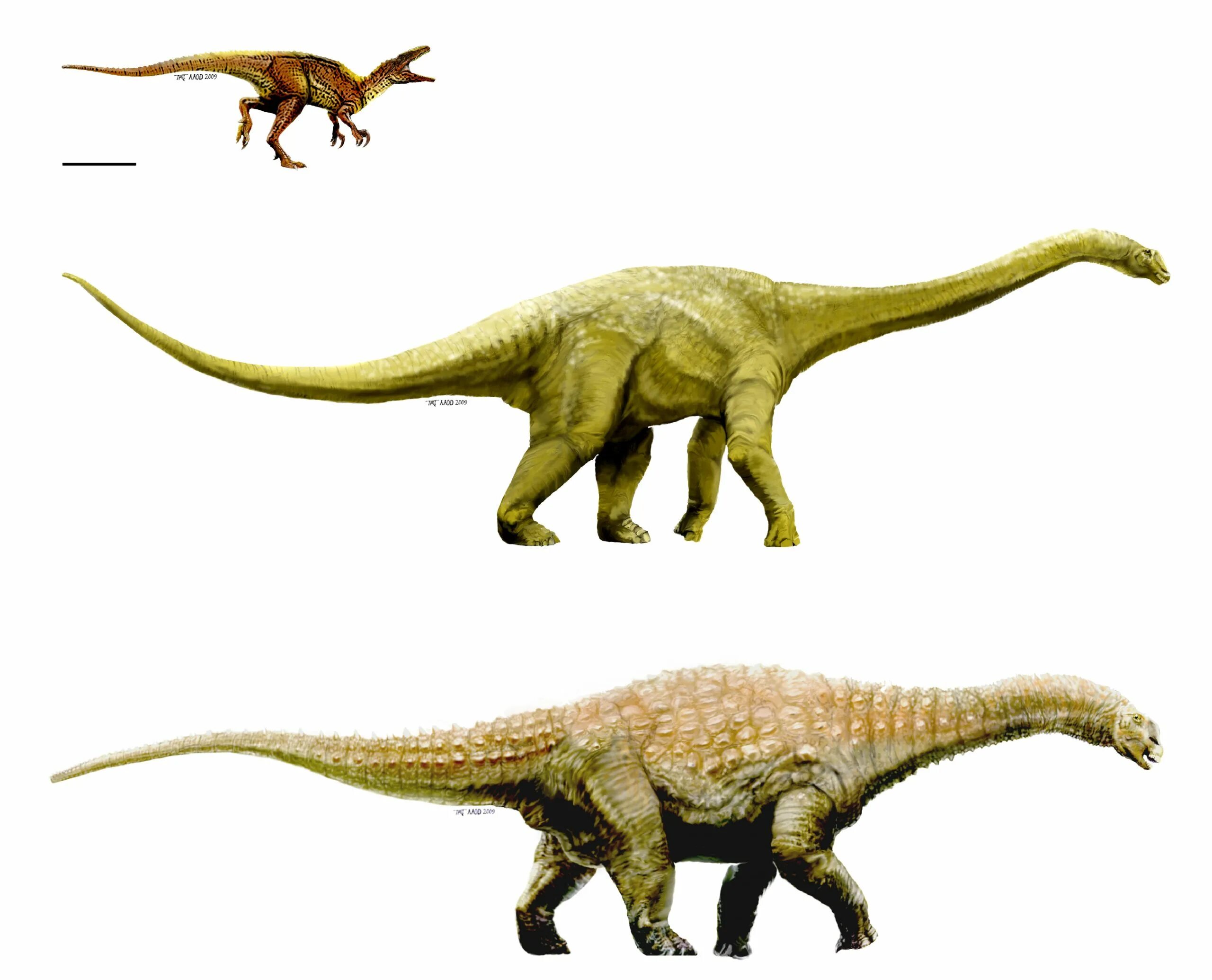 Diamantinasaurus matildae. Динозавры. Травоядные динозавры. Типы динозавров.
