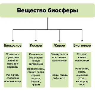 Происхождение веществ