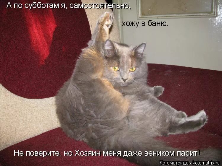 Мемы нечего рассказывать. Ну мне нечем. Ну мне нечем. Открытки все отлично. Если тебе грустно.