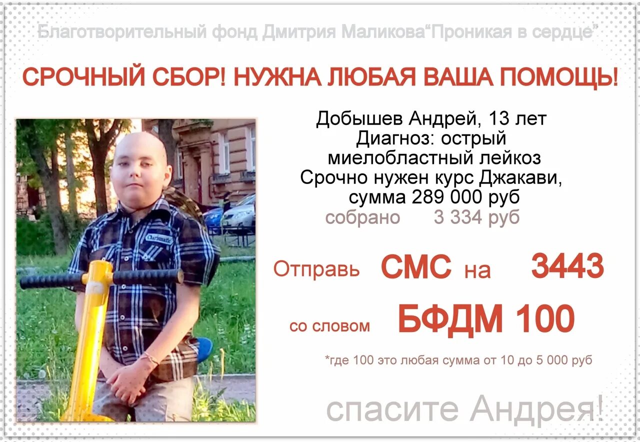 Доклад о благотворительном фонде. Благотворительный фонд Дмитрия Маликова. Сообщение о благотворительном фонде 5 класс.