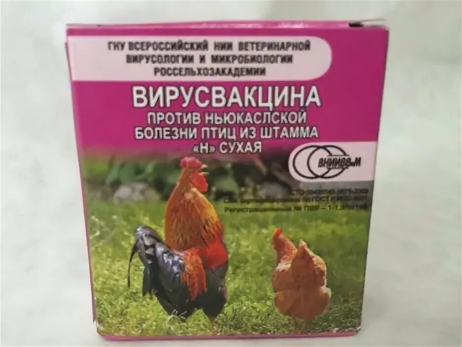 Вирусвакцина против ньюкаслской болезни. Вирусвакцина против ньюкаслской болезни из штамма н Живая сухая. Вакцины от ньюкаслской болезни. Живая сухая вакцина из штамма h. Вакцина против ньюкаслской болезни