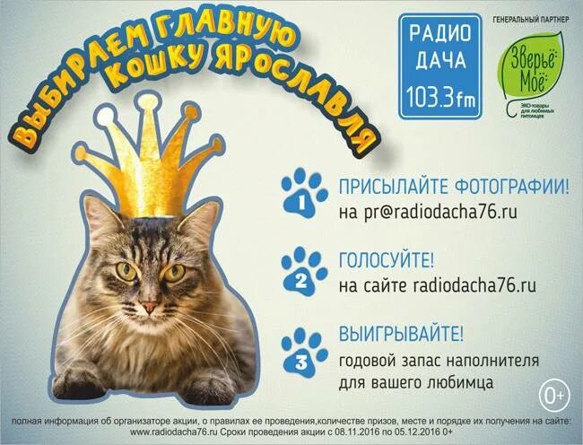 Гороскоп радио дача на сегодня читать близнецы. Конкурс на радио дача про кошек. радио дача. главная кошка. радио дача конкурс кошачьих фотографий.