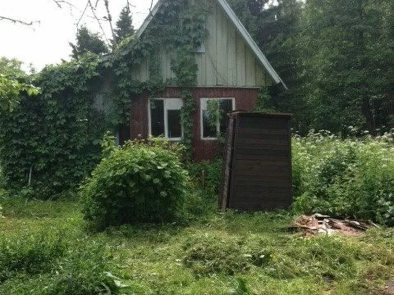 Снт озерки 6. Озерки электрогорск. Снт пингвин электрогорск. Дача в озерках. Снт рубин электрогорск.