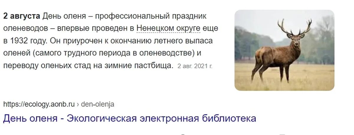 Лень олень. С днем олененка. Всемирный день оленя. Олений день. Лень олень.