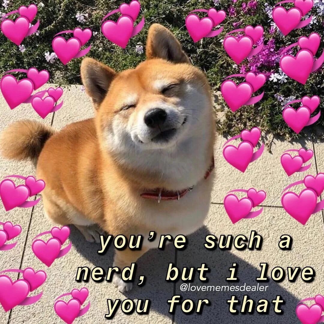 Wholesome memes Love. Cute Мем. Cute Love меме. Wholesome pictures. Меме лове