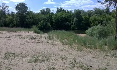 Медведица жирновский волгоградская область погода