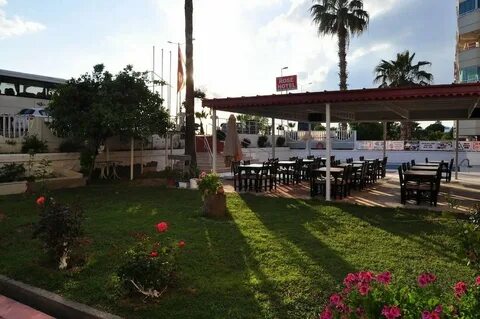 Rose hotel 3