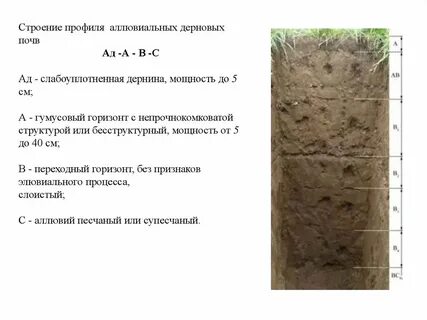 Строение профиля