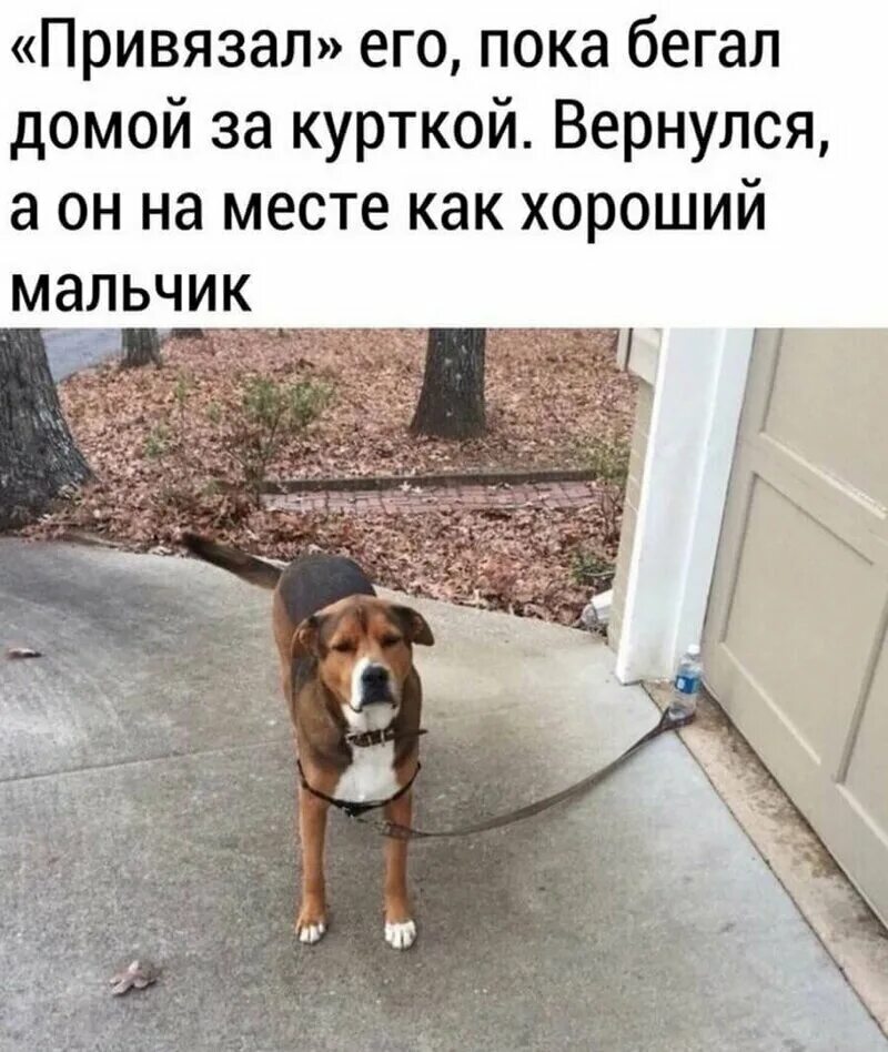 Преувеличенные проблемы. Преувеличенные проблемы. Лесть карикатура. Высказывания о счастье. Демотиваторы добрый день.