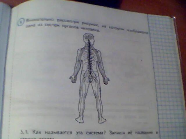 Рассмотри рисунок на котором изображен. Внимательно рассмотри рисунок. Изображена одна из систем органов человека. Рисунок на котором изображена 1 из систем органов человека. Одна из систем органов человека ВПР 4 класс.