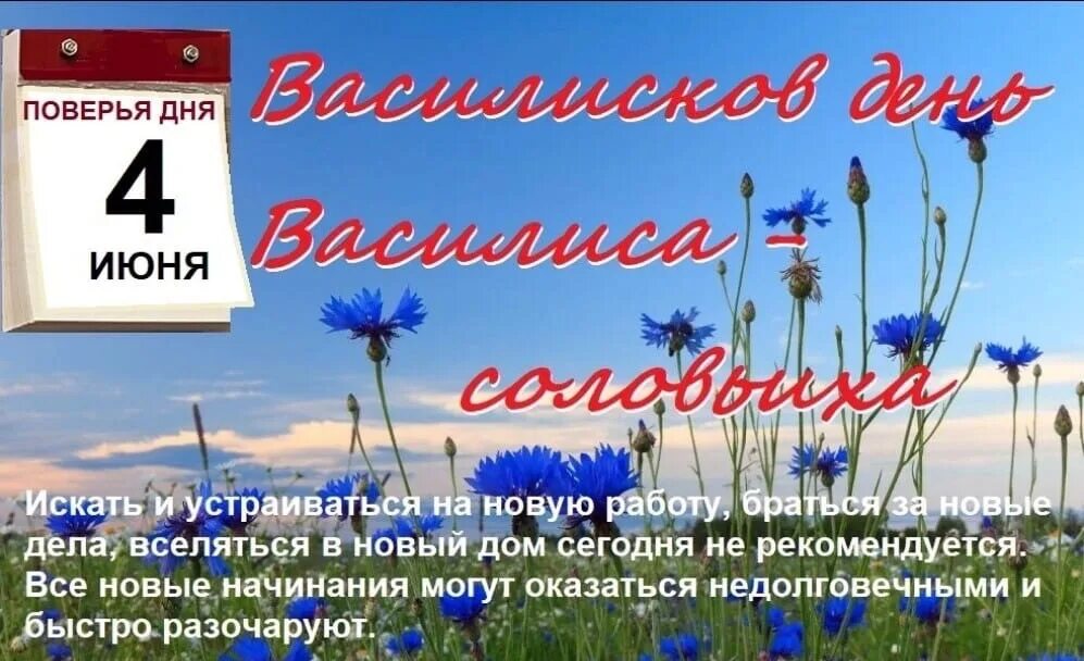 День Васильков. День василька. Июнь васильки. Васильковый день 4 июня.