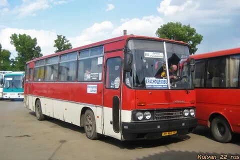 Автобус поспелиха