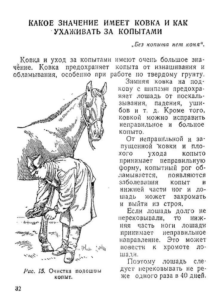 Правила ухода за лошадьми. Памятка по уходу за лошадьми. Лошади инструкция. Наставление по уходу за лошадью в РККА.