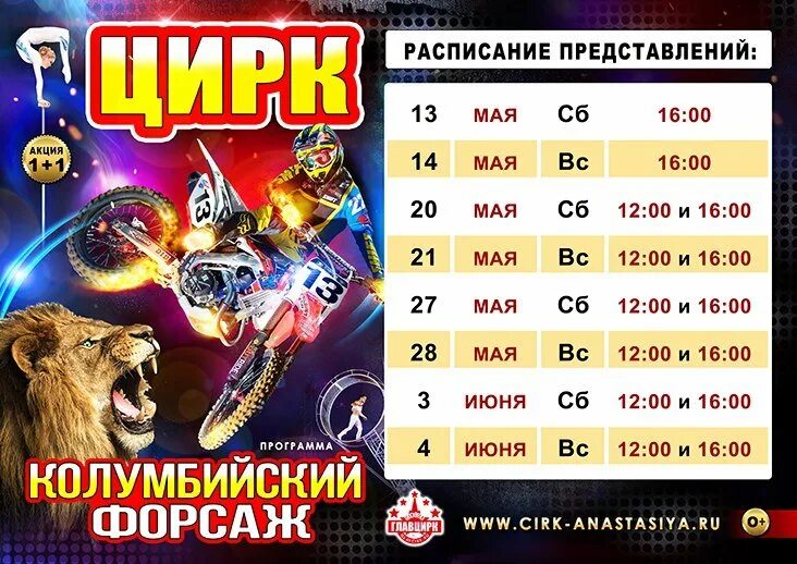 Расписание цирка на декабрь. Расписание представлений. расписание цирка. график представлений в цирке. цирк афиша расписание.