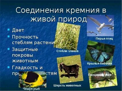 Химия 9 кремний и его соединения презентация