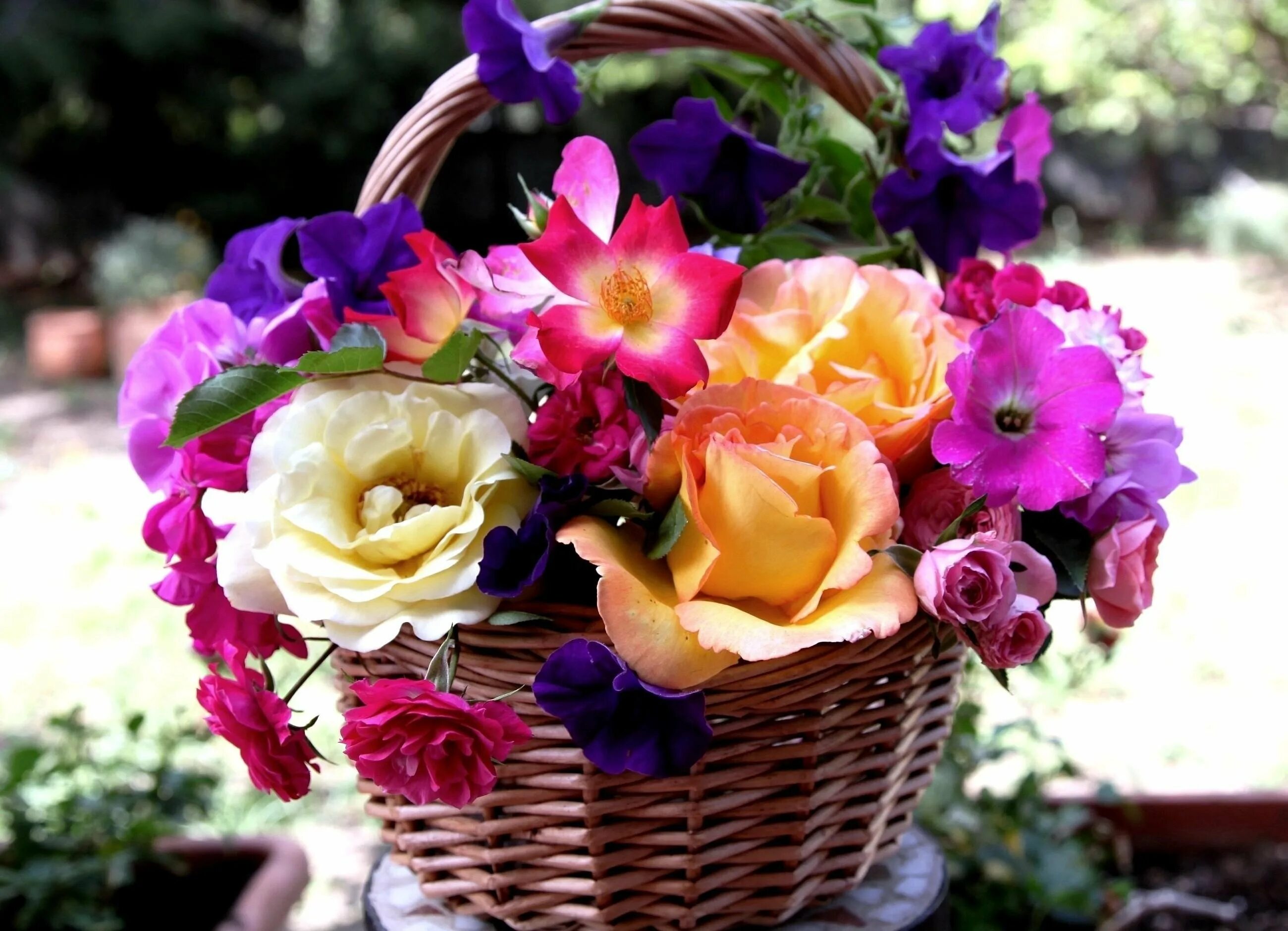 Красивый букет цветов. Шикарные цветы. Красивый яркий букет. Цветы букеты шикарные. Сами красивая цвети