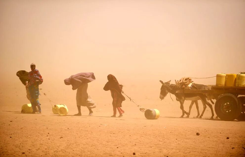 Проблемы восточной африки. Голод в Восточной Африке 2011. Засуха и голод в Восточной Африке.