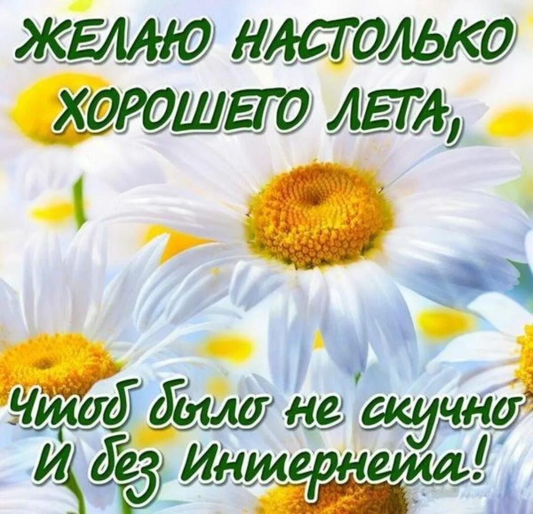 Утро первого дня лета. Счастливого лета пожелания. открытки хорошего лета. пожелания хорошего лета. пожелания солнечного лета.