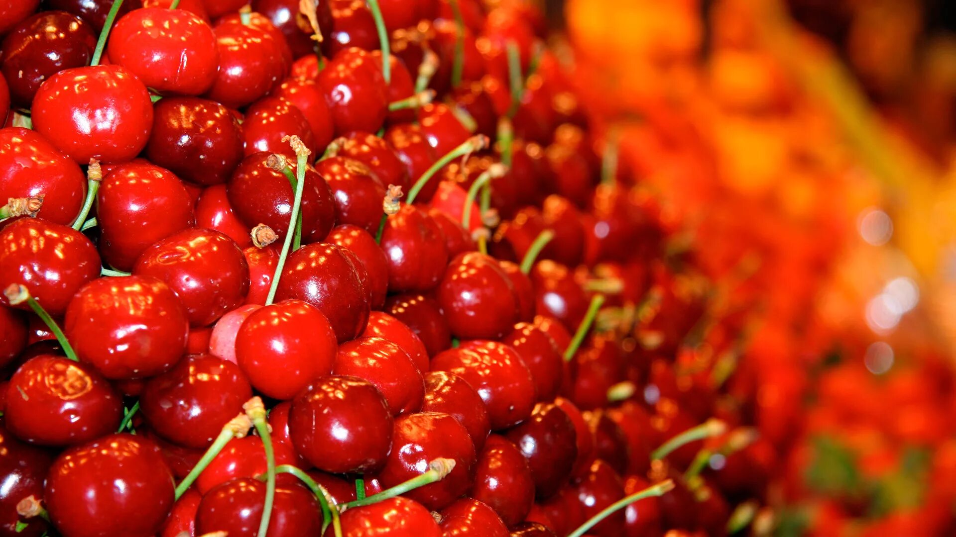 Самые интересные ягоды. Черешня Киргизия. Черешня красная. Красные фрукты. Красная вишня.