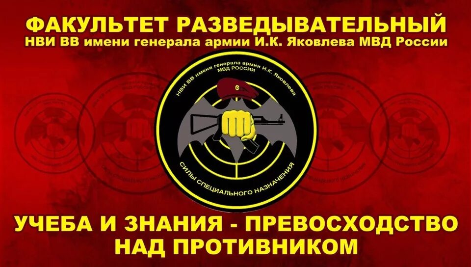 Новосибирский военный институт Факультет спецназа. Новосибирский военный институт внутренних войск МВД России. Новосибирский военный институт внутренних войск Шеврон. Факультет разведки НВИ ВВ МВД России. Вв мвд рф новосибирск