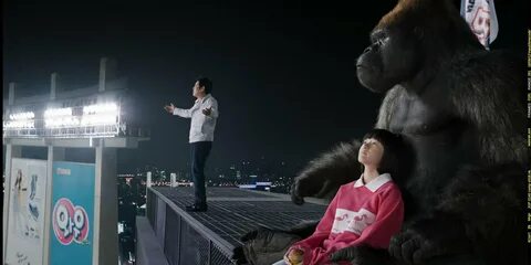 Mr go