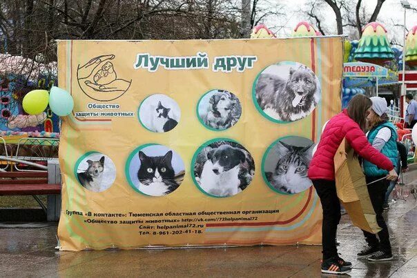 Ребенок кормит собаку. Приют гавкис ставрополь?. Ставрополь собачий приют. Мальчик в приюте. Лучший друг приют для животных ставрополь.