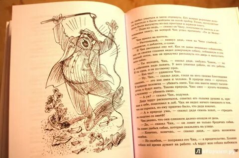 Иллюстрирована 34 рисунками словами