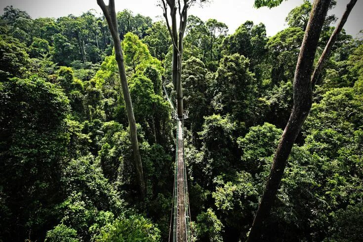 Northern Islands, Sabah, Borneo Borneo, Northern island, Island