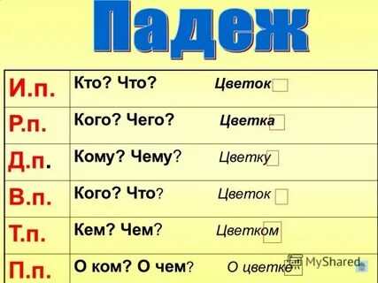 Старому другу падеж