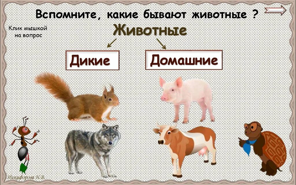Животные для первого класса. Животные 2 класс. Дикие и домашние животные 2. Группы животных 2 класс. Какие бывают животные домашние и Дикие.