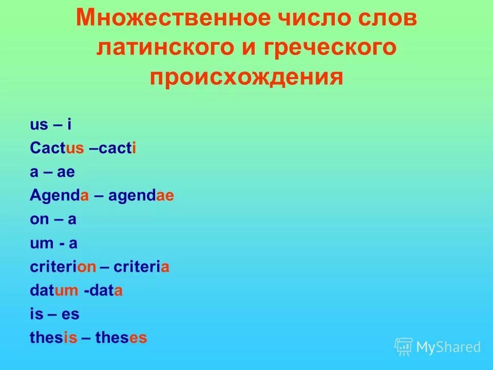 Множественное слово месяц. Множественное число. Множественные слова. Слова во множественном числе. Cactus множественное число.