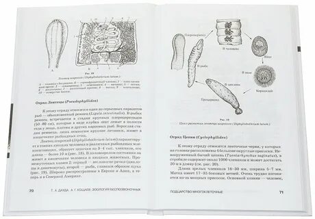 Зоология беспозвоночных