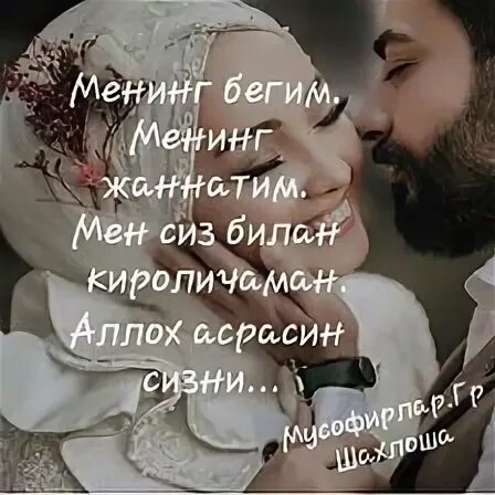 Зайнаб билан колинг бегим 2 мавсум 68. Бегим хакида шер. Бегим шерлар. Бегим бегим. Фируза джуманиязова бегим белбогингиз.