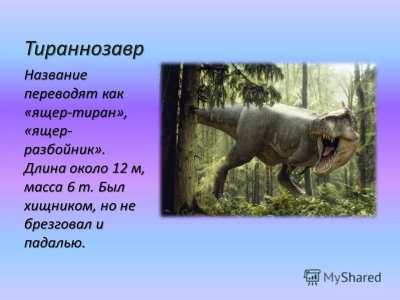 Сообщение на тему древние животные. Сообщение на тему древние животные