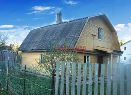 Снт культура