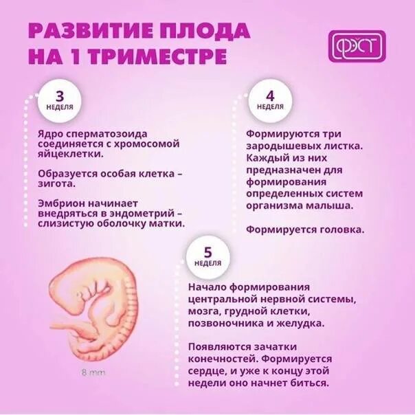 5 недель ощущения